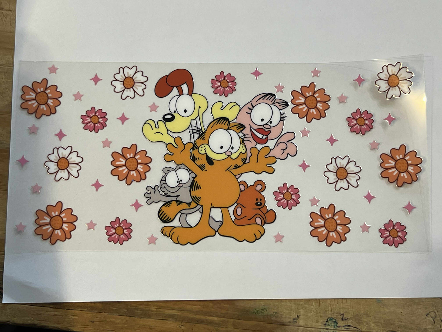 Orange Cat
