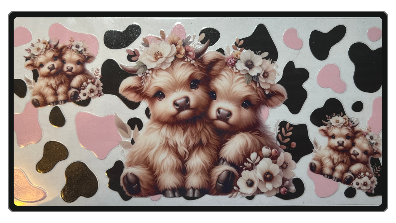 Highland Calves- Pink & Black