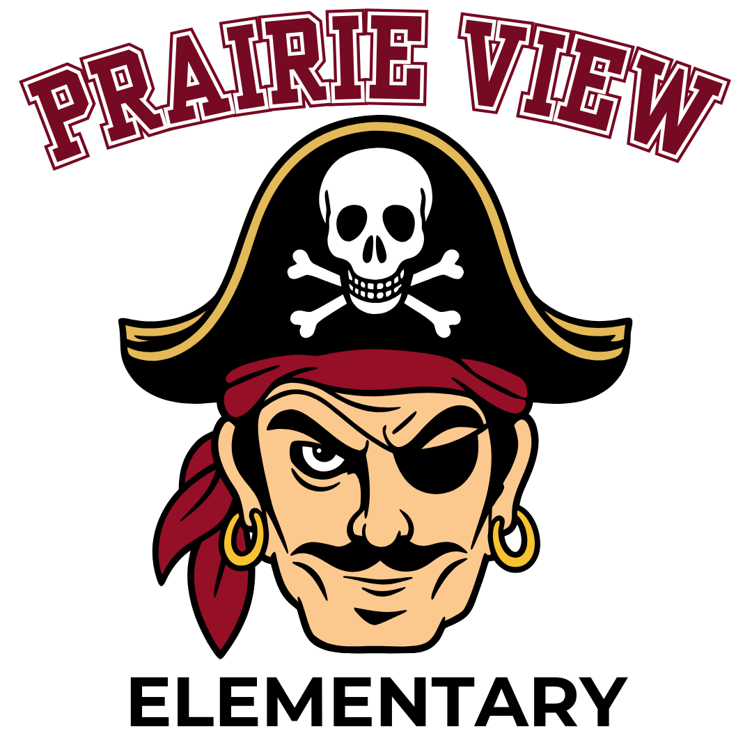 Prairie View Elementary 20 oz Duo Skinny Tumbler | 8 Logo Options