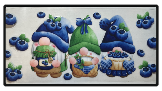 Blueberry Gnomes